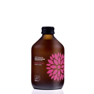 Kombucha BIO Ogórek + Kolendra Original 330 ml VIGO