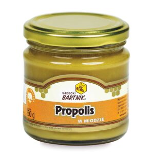Miód z propolisem 250g BARTNIK