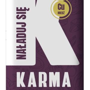 Baton NAŁADUJ SIĘ Pekan, syrop klonowy 40g KARMA BARS
