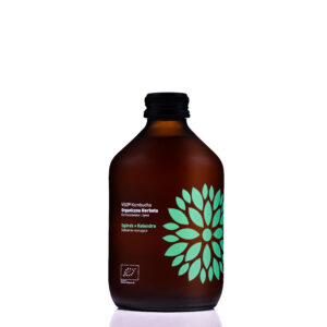 Kombucha BIO Ogórek + Kolendra Original 330 ml VIGO