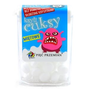 KsyliCuksy miętowe b/c 13g PIĘĆ PRZEMIAN